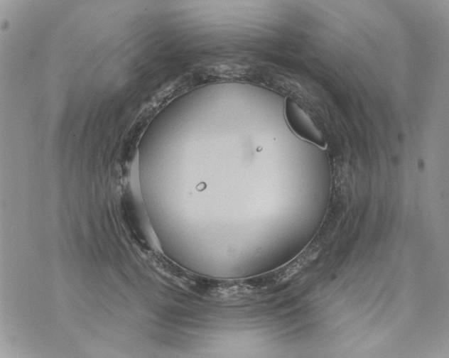 X0000071380752200607212212