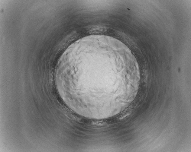 X0000071380753200607212212