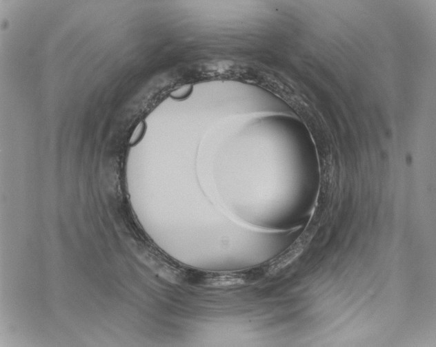 X0000071380754200607212212