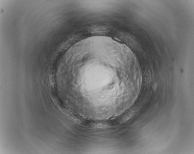 X0000071380755200607212212