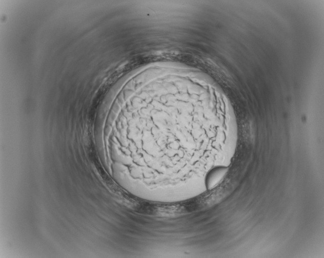 X0000071380757200607212212