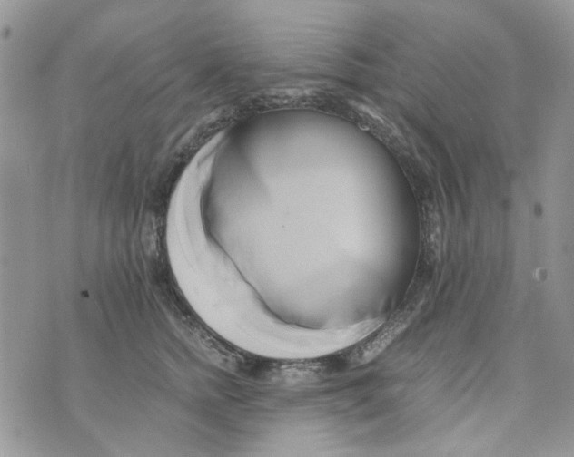 X0000071380758200607212212