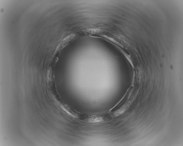 X0000071380760200607212212