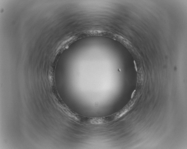 X0000071380762200607212212