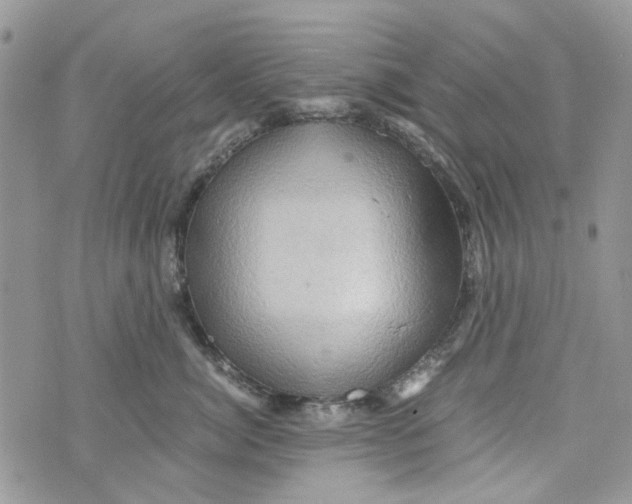 X0000071380764200607212212