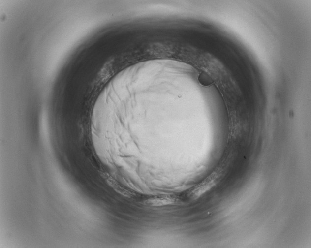 X0000071380765200607212212