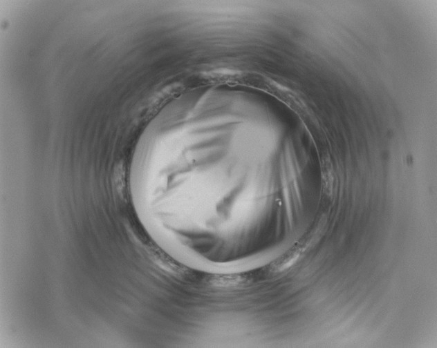 X0000071380767200607212212