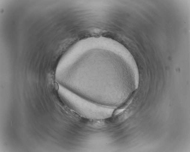 X0000071380768200607212212