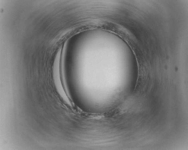 X0000071380773200607212211