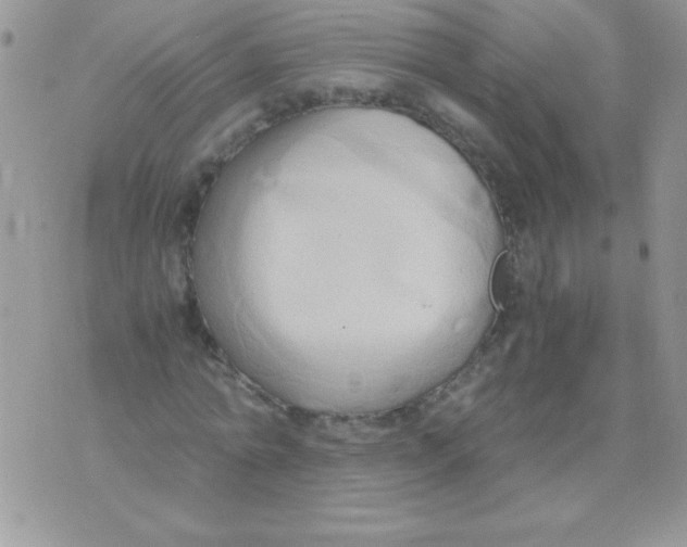 X0000071380774200607212211