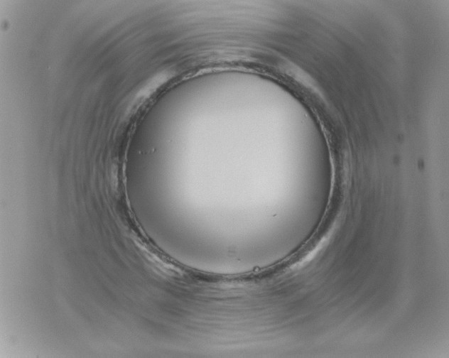 X0000071380777200607212211