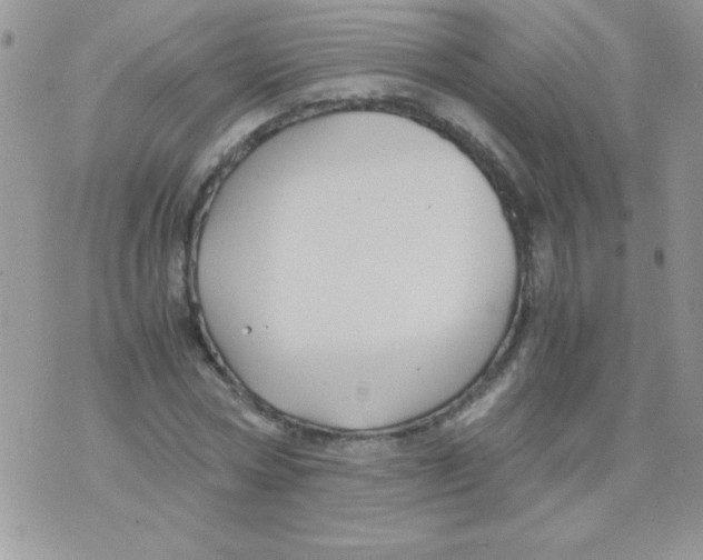 X0000071380778200607212211