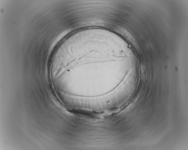 X0000071380780200607212211