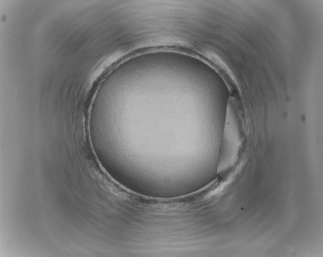 X0000071380781200607212211