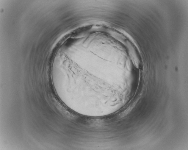 X0000071380783200607212211