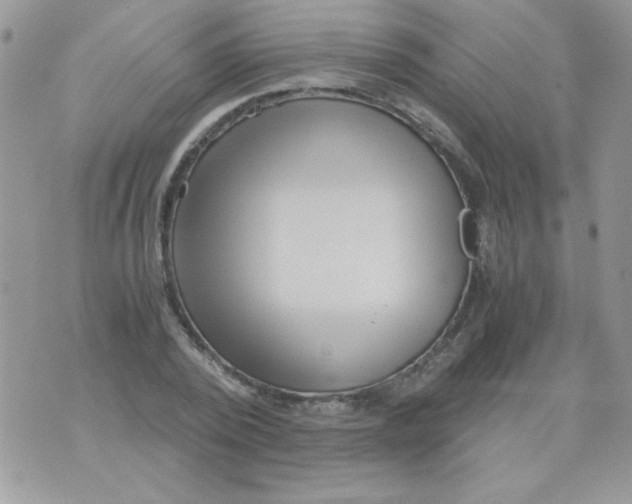 X0000071380784200607212211