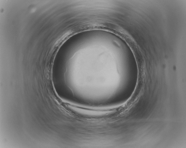 X0000071380785200607212211