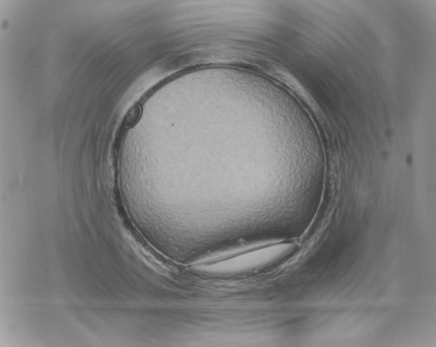 X0000071380787200607212211