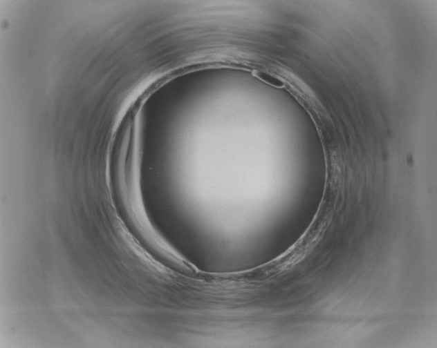 X0000071380788200607212211