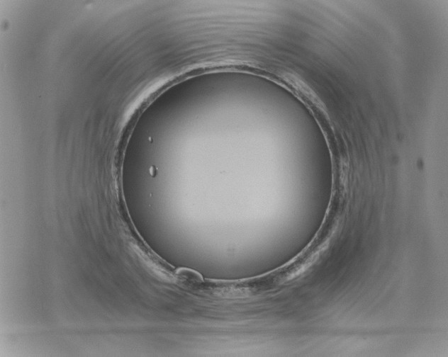 X0000071380789200607212211