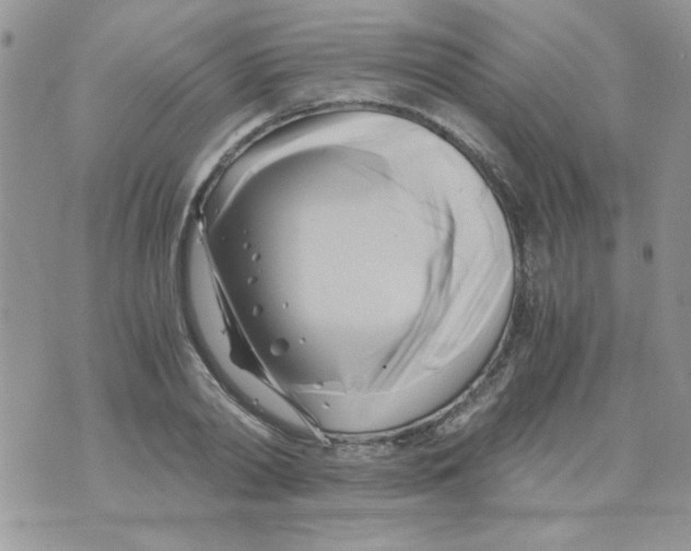 X0000071380790200607212211