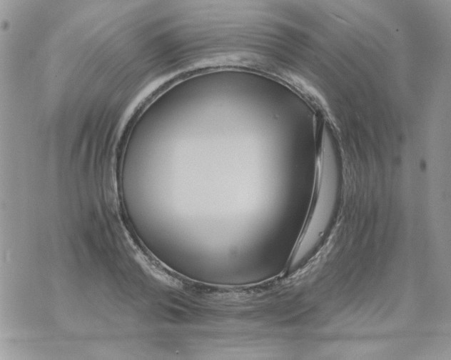 X0000071380792200607212211