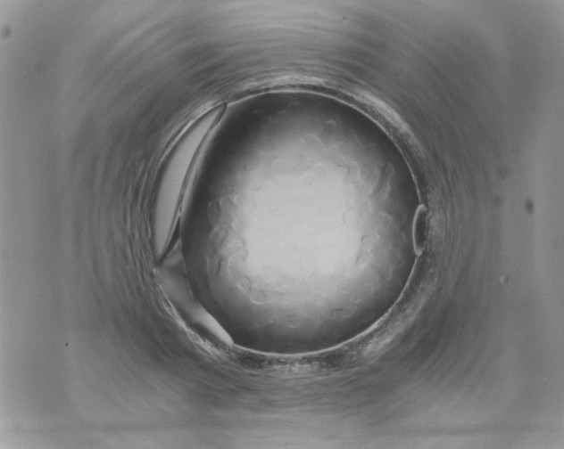 X0000071380793200607212211