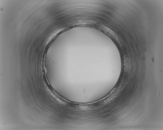 X0000071380794200607212211