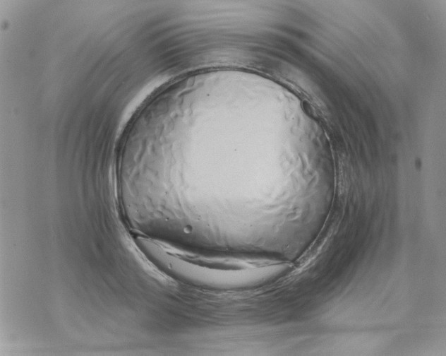 X0000071380796200607212211