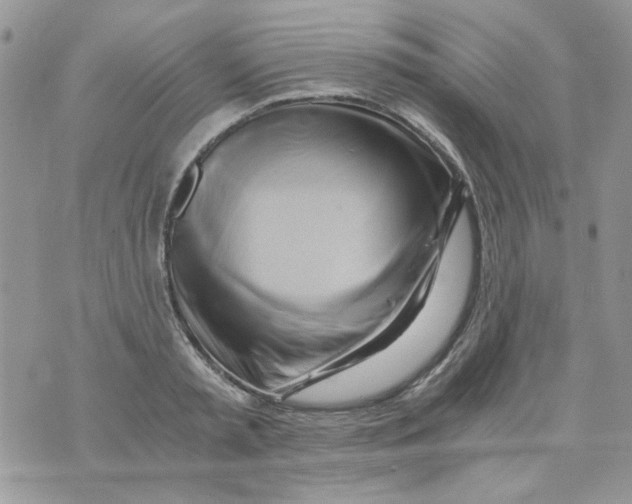 X0000071380797200607212211