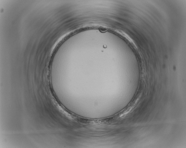 X0000071380799200607212211