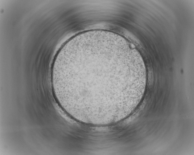 X0000071380800200607212211