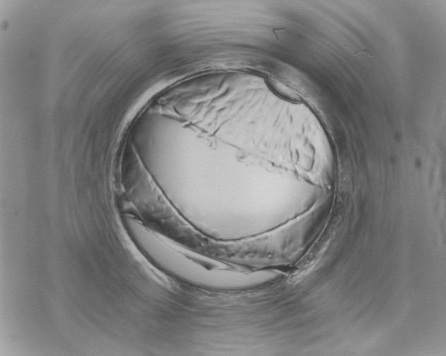 X0000071380803200607212211