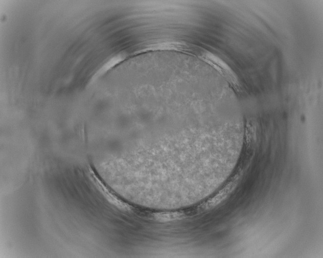 X0000071380804200607212211