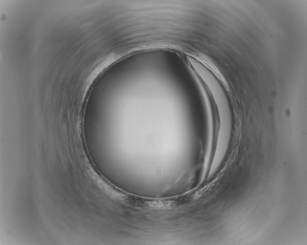 X0000071380805200607212211