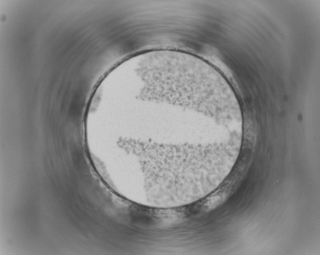 X0000071380807200607212211