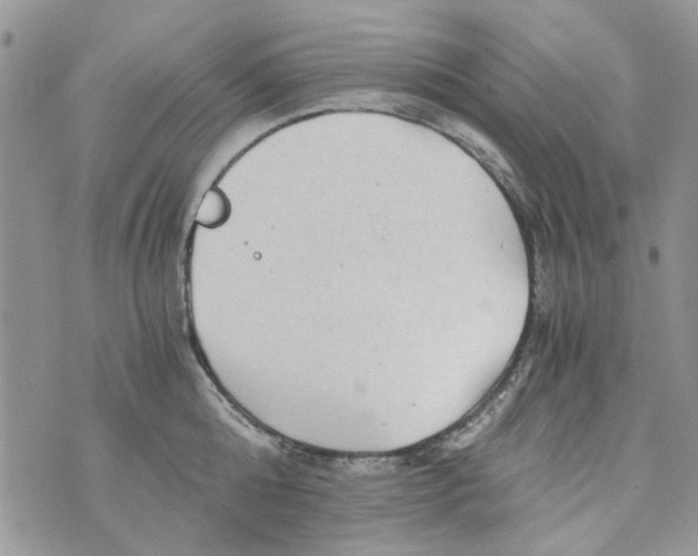 X0000071380808200607212211