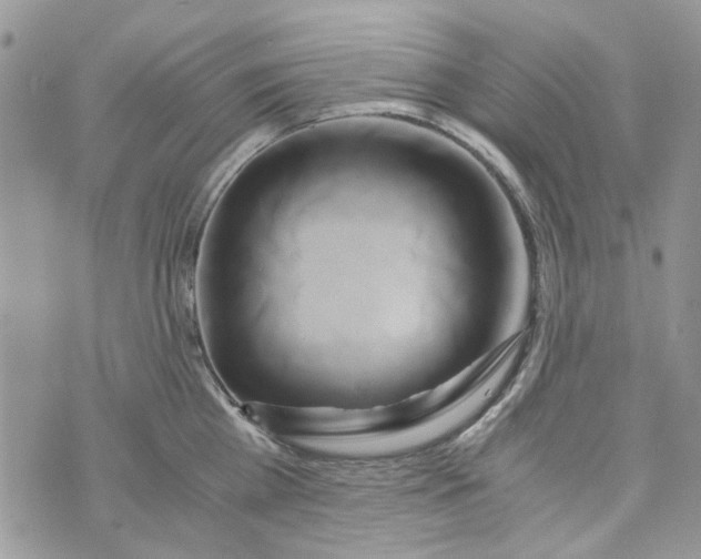 X0000071380809200607212211