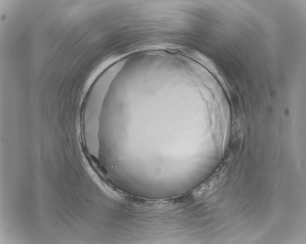 X0000071380811200607212211