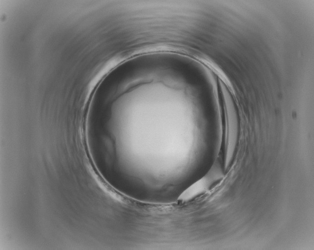 X0000071380813200607212211