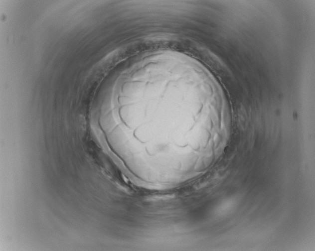 X0000071380821200607212210