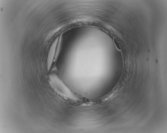 X0000071380822200607212210