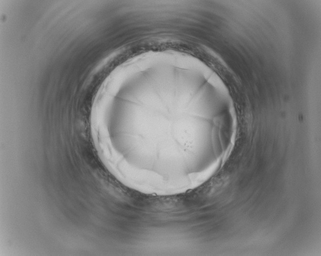 X0000071380823200607212210