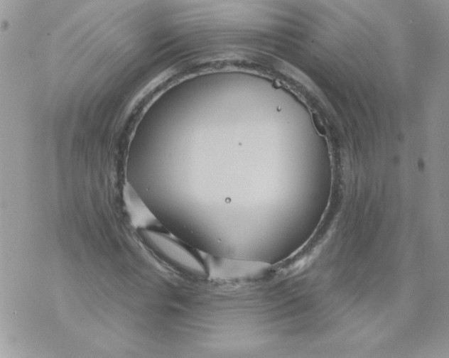 X0000071380826200607212210