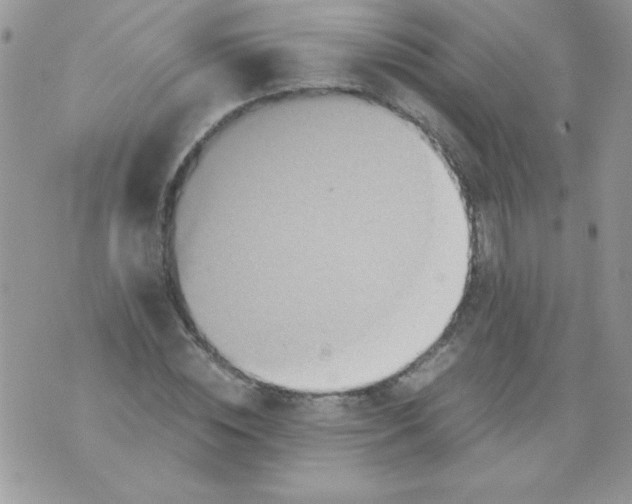 X0000071380828200607212210