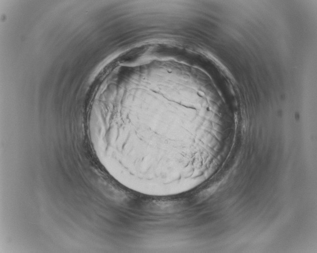 X0000071380829200607212210