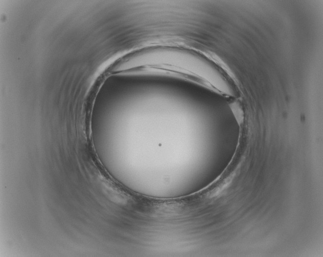 X0000071380830200607212210