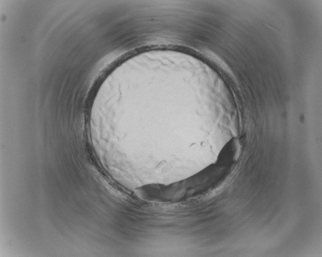 X0000071380831200607212210