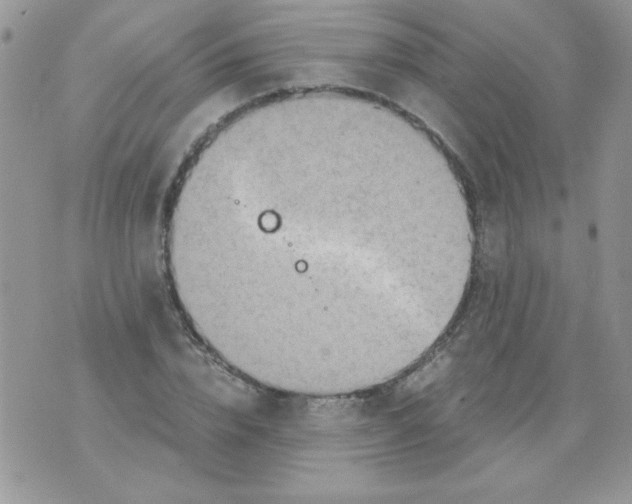 X0000071380832200607212210