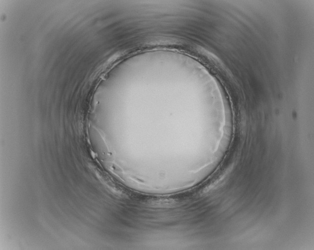 X0000071380833200607212210